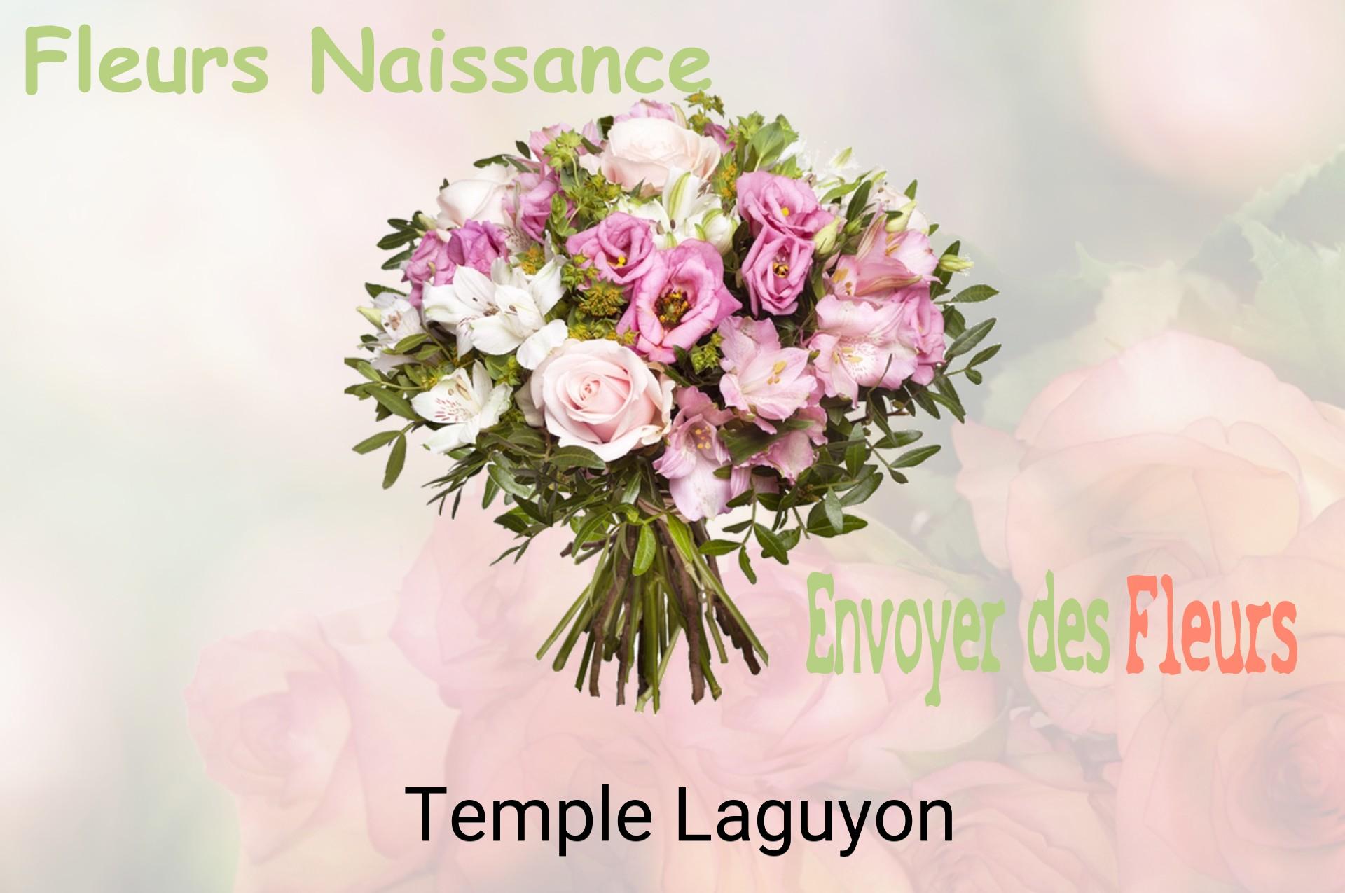 Bouquet de fleurs de naissance livré à Temple-Laguyon
